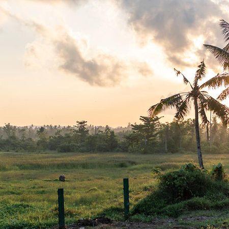 ג'נרל לונה The Hillside Resort Siargao מראה חיצוני תמונה