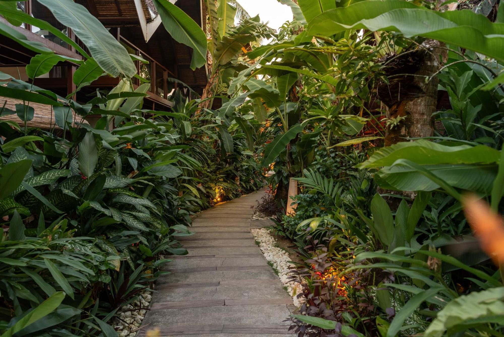 ג'נרל לונה The Hillside Resort Siargao מראה חיצוני תמונה
