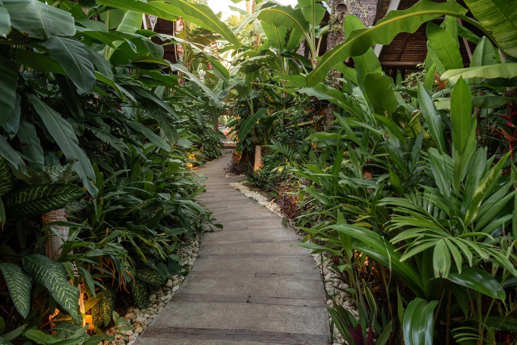 ג'נרל לונה The Hillside Resort Siargao מראה חיצוני תמונה