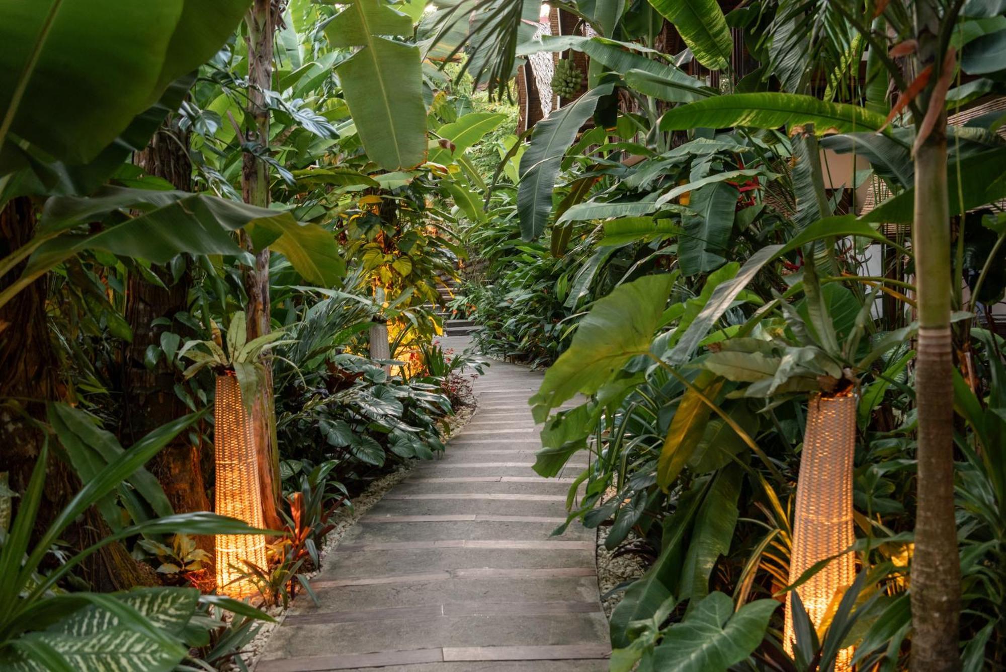 ג'נרל לונה The Hillside Resort Siargao מראה חיצוני תמונה