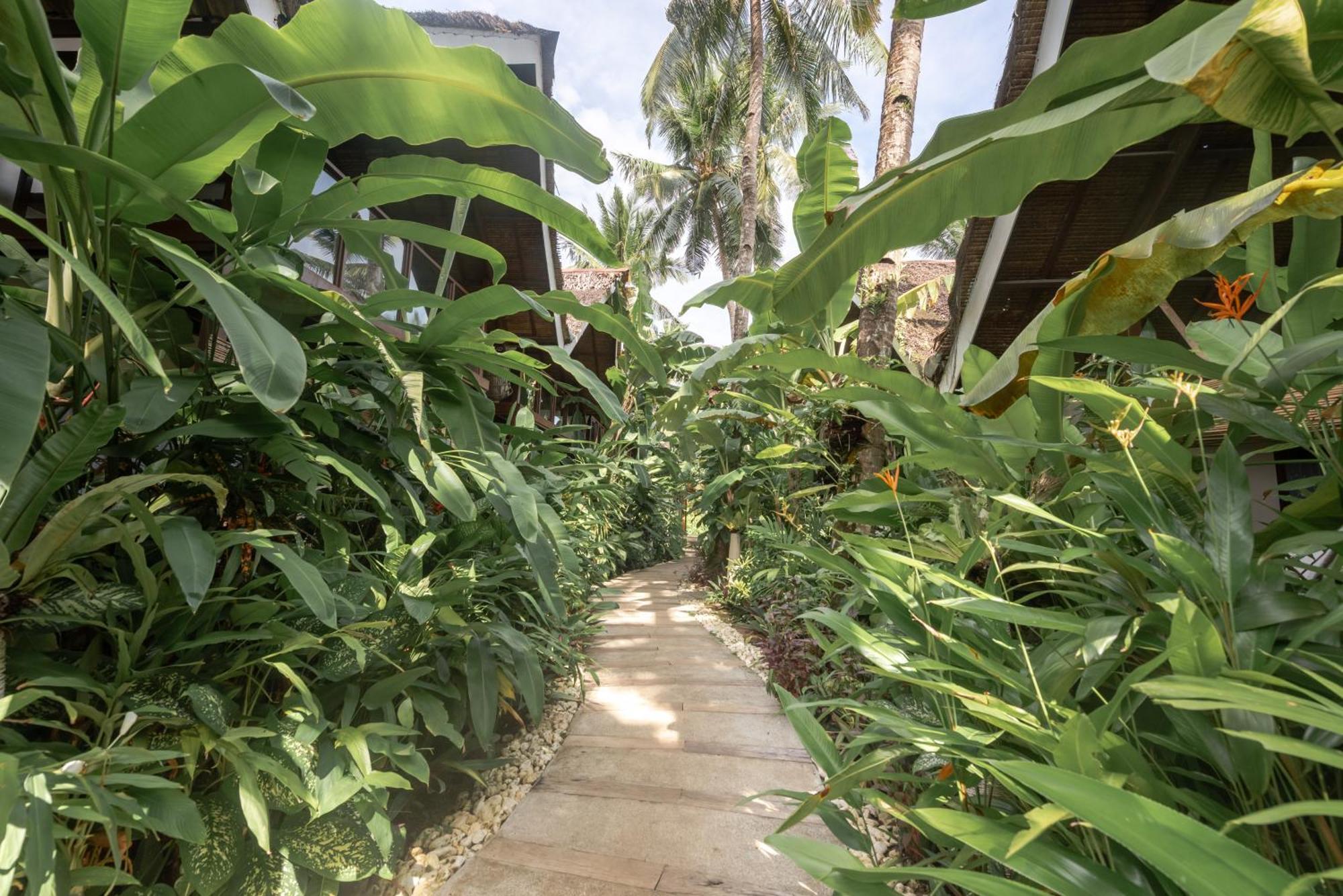 ג'נרל לונה The Hillside Resort Siargao מראה חיצוני תמונה